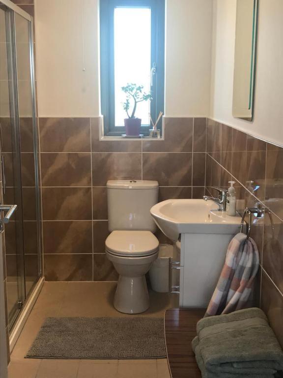 New Studio Near Lahinch, Doolin & Cliffs Of Moher Eksteriør billede